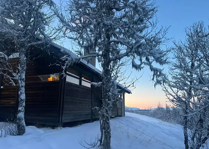 Alhytte Near Vasetvannet * Ron